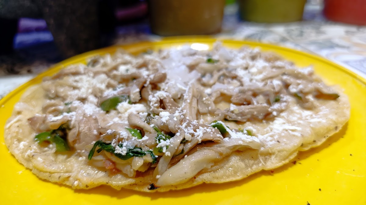Antojitos mexicanos Paty y Gabi